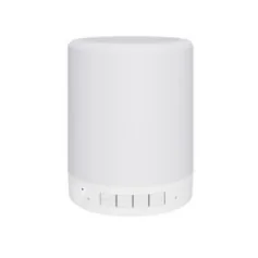 Altoparlante Bluetooth HD con Telecamera Wifi e Luce Integrata