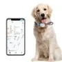 Localizzatore GPS 4G impermeabile per animali e persone