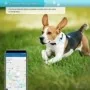 GPS 4G Impermeabile per Animali con App, Allarme e Voce