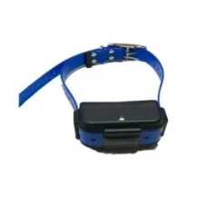 Collare GPS 4G per cani impermeabile con tracciamento live