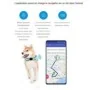 Localizzatore GPS 4G impermeabile per animali con allarmi smart