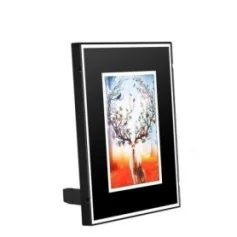 Quadro con videocamera nascosta HD, Wifi e visione notturna