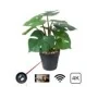 Pianta Spia HD WiFi: Sorveglianza Nascosta, Stile Perfetto